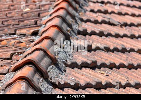 Vintage rot Dachziegen, Hintergrund Foto Textur Stockfoto