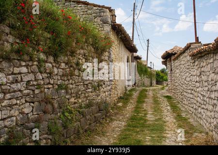 Eine grasbewachsene Kopfsteinpflasterstraße im historischen Wohnviertel des Burgviertels Kalaja von Berat in Südalbanien. Traditionelle Steinmauern mit Stockfoto