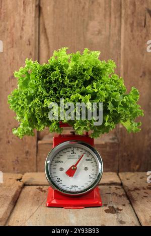 Frischer Salat auf roter Handwaage, über Vintage Holztisch Stockfoto