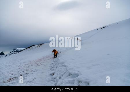 Danco Island, Antarktische Halbinsel - 31. Januar 2024. Eine Gruppe antarktischer Touristen erkundet die Gentoo-Pinguinkolonie auf Danco Island. Stockfoto