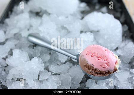 Eine Schaufel neapolitanisches Eis über Eis Stockfoto