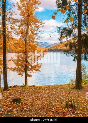 Berglandschaft mit See im Herbst. Bäume in bunten Blättern am Ufer. Bewölktes Wetter. Wasserreservoir der ukraine. Ruhe im Freien Stockfoto