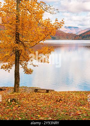 Berglandschaft mit See im Herbst. Bäume in bunten Laub und Holzbank am Ufer. Bewölktes Wetter. Wasserreservoir der ukraine Stockfoto