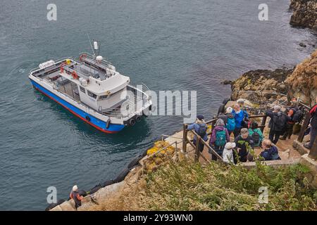 Die Fähre Skomer macht sich bereit, Passagiere auf Skomer Island vor der Küste von Pembrokeshire, Wales, Großbritannien, Europa abzuholen Stockfoto