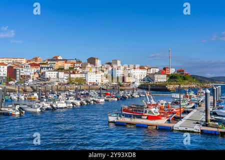 Hafen von Finisterre, Finisterre (Fisterra), La Coruna, Galicien, Spanien, Europa Stockfoto