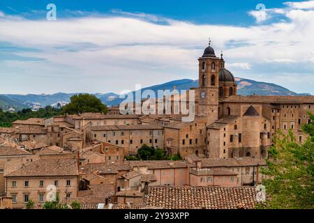 Kathedrale und Palazzo Ducale von der Festung Albornoz, Altstadt, UNESCO-Weltkulturerbe, Urbino, Marken, Italien, Europa Stockfoto