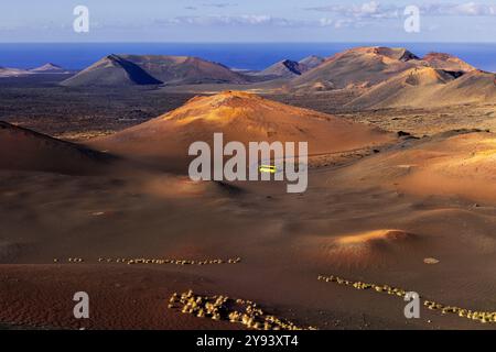 Ein Bus mitten im Timanfaya Nationalpark, Yaiza, Tinajo, Las Palmas, Lanzarote, Kanarische Inseln, Spanien, Atlantik, Europa Stockfoto