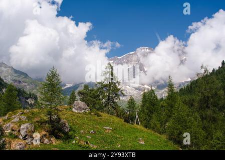Alpenwald mit majestätischen Bergen der italienischen Alpen am Monte Rosa, Alagna Valsesia, Piemont, Italien, Europa Stockfoto