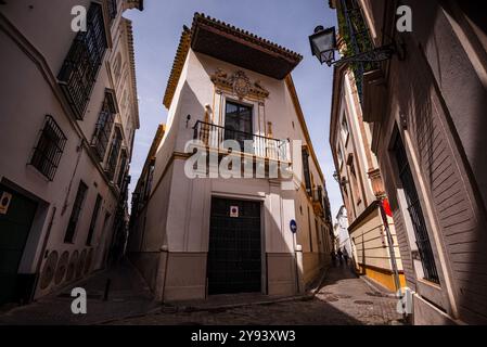 Typisch andalusische Fassaden von Wohnhäusern in den Straßen im Zentrum, Sevilla, Andalusien, Spanien, Europa Stockfoto