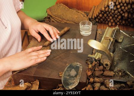 Zigarrenherstellung, La Palma, Kanarische Inseln, Spanien, Atlantik, Europa Stockfoto