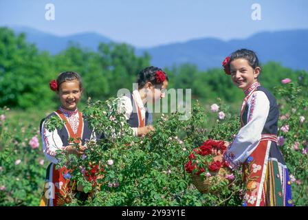 Traditionelle gekleidete junge Mädchen in einem Rosengarten während des Rosenfestes im Rosetal, Kazanlak, Bulgarien, Europa Stockfoto