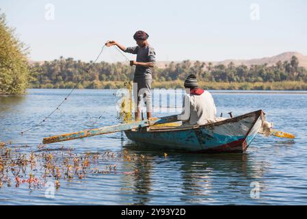 Netzfischer im Ruderboot, Dorf Ramadi, Westufer des Nils südlich von Edfu, Ägypten, Nordafrika, Afrika Stockfoto