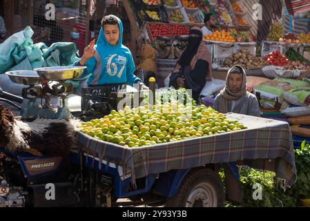 Zitronen zum Verkauf von einem Wagen auf dem Markt in Daraw, Ägypten, Nordafrika, Afrika Stockfoto