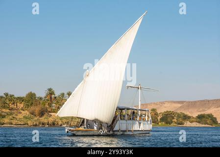 Dahabeah unter Segel, Passagierschiff der Lazuli-Flotte, segelte auf dem Nil bei Assuan, Ägypten, Nordafrika, Afrika Stockfoto