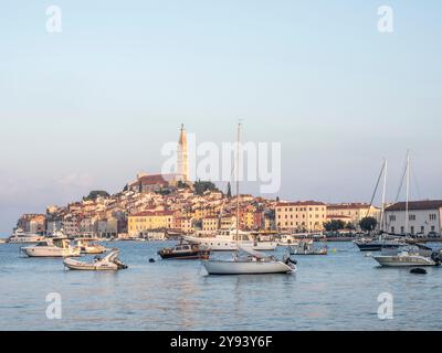 Die Altstadt, Rovinj, Istrien, Kroatien, Europa Stockfoto