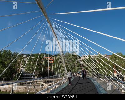 Fußgängerbrücke Zubizuri, entworfen von Santiago Calatrava, Fluss Nervion, Bilbao, Baskenland, Spanien, Europa Stockfoto