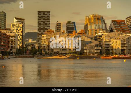 Blick auf den Barcode und die Skyline der Stadt während der goldenen Stunde, Oslo, Norwegen, Skandinavien, Europa Stockfoto