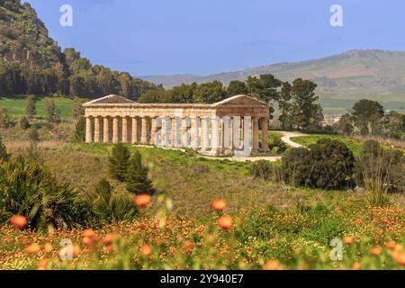 Dorischer Tempel, Segesta, Calatafimi, Trapani, Sizilien, Italien, Mittelmeer, Europa Stockfoto