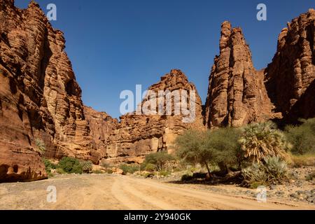 Wadi Disah (Wadi Qaraqir), Sandsteinschlucht in der Nähe von Tabuk, Nordwesten Saudi-Arabiens, Naher Osten Stockfoto