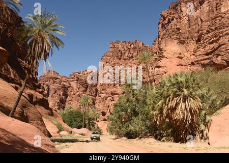 Wadi Disah (Wadi Qaraqir), Sandsteinschlucht in der Nähe von Tabuk, Nordwesten Saudi-Arabiens, Naher Osten Stockfoto