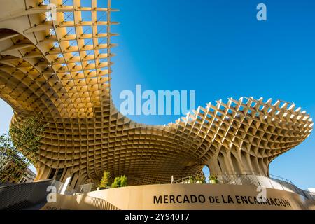 Pilzförmiges Dach des Mercado de la Encarnacion (Markt Encarnacion), Sevilla, Andalusien, Spanien, Europa Stockfoto