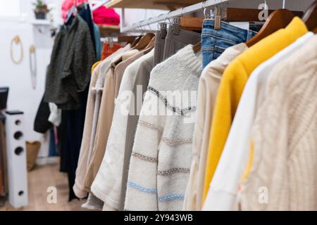 In einer modernen, gut beleuchteten Boutique hängen gemütliche Pullover mit Herbstmotiven an Kleiderbügeln. Die Kollektion zeigt verschiedene Muster und Farben Stockfoto