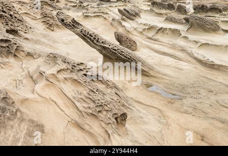 Dieses Bild erfasst die detaillierten Muster und Texturen auf einer Sandsteinoberfläche und zeigt natürliche Witterungseinflüsse und Erosion Stockfoto