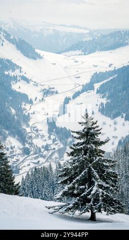 Eine ruhige Winterszene in La Clusaz, die eine atemberaubende Weite aus schneebedeckten Tälern und Hängen mit einem majestätischen Baum im Vordergrund i zeigt Stockfoto