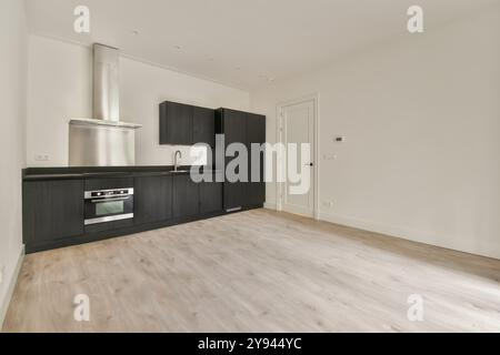 Moderne Küche mit eleganten schwarzen Schränken, Geräten aus Edelstahl und hellem Holzfußboden. Stockfoto