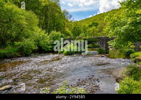 Fingle Bridge am Fluss Teign bei Chagford Devon Stockfoto