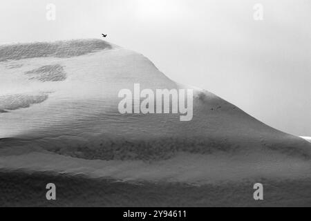 Eisberg in Schwarz-weiß-Landschaft Foto im ilulissat-Eisfjord, Grönland, Dänemark, Arktis. Stockfoto