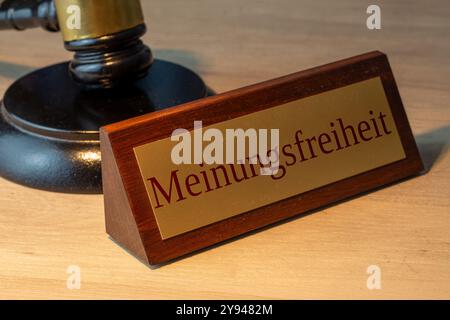 Symbolbild der Meinungsfreiheit in Deutschland: Nahaufnahme eines Messingschildes mit dem Wort MEINUNGSFREIHEIT (Meinungsfreiheit) Stockfoto