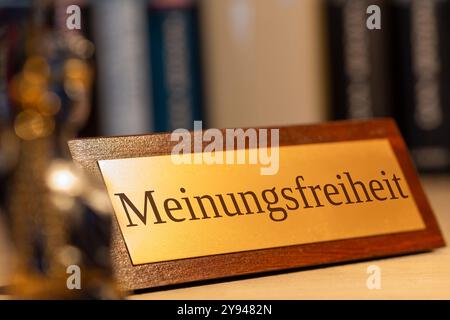 Symbolbild der Meinungsfreiheit in Deutschland: Nahaufnahme eines Messingschildes mit dem Wort MEINUNGSFREIHEIT (Meinungsfreiheit) Stockfoto