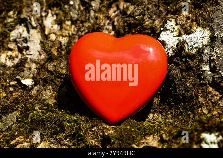 Rotes Herz auf einem Baum, romantische Karte, Geburtstagskarte Stockfoto