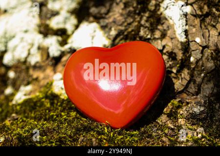 Rotes Herz auf einem Baum, romantische Karte, Geburtstagskarte Stockfoto