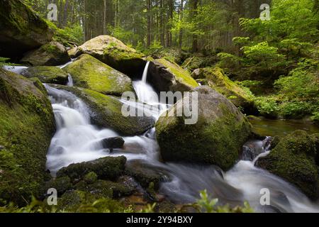 Mystischer Wasserlauf im Böhmischen Wald. Stockfoto