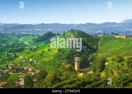 Prosecco Hills, Weinberge. Unesco-Stätte. Valdobbiadene, Provinz Treviso, Veneto Reigon, Italien, Europa Stockfoto