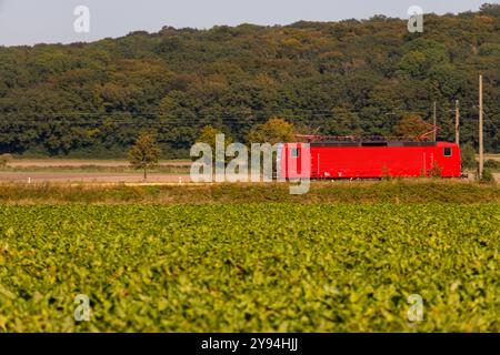 Rote Elektrolokomotive fährt auf dem Land zwischen Bäumen. Hochwertige Fotos Stockfoto