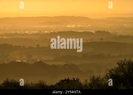 Atemberaubende Aussicht von den Quantock Hügeln kurz vor Sonnenaufgang mit Blick ins Landesinnere in Richtung Südosten mit Schichten von sanften Hügeln, Bäumen und niedrig liegenden Nebel Stockfoto