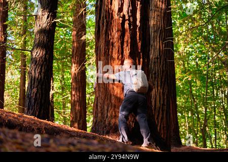 Paare, die einen Baum mit ihren Armen umarmen, Mammutbaumwald, Naturdenkmal der Mammutbäume von Monte Cabezón, Cabezon de la Sal, Kantabrien, Spanien Stockfoto