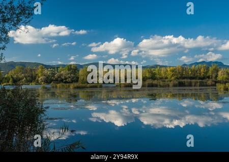 See mit Reflexion weißer Wolken in ruhiger Wasseroberfläche, Sommerlandschaft. Warmes Seitenlicht beleuchtet die Bäume am Ufer. Dubnica, Slowakei Stockfoto