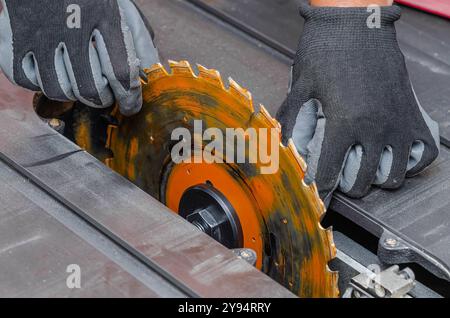 Zimmermann ersetzt eine Kreissäge in einer Werkzeugmaschine. Austausch der Säge in der Tischlerei Stockfoto