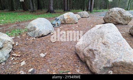 Große Steine säumen einen Waldweg inmitten von Kiefern im Herbst Stockfoto