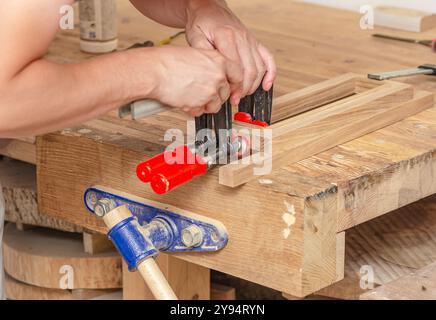 Befestigung von Schreinerklammern an einem Holzgestell in einer Schreinerei, Verkleben von Brettern Stockfoto
