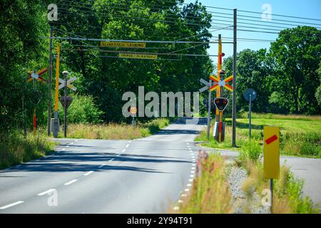 Eine ruhige ländliche Straße bietet helle Bahnübergangssignale inmitten von lebhaftem Grün unter klarem blauem Himmel. Die Gegend ist friedlich und einladend Stockfoto