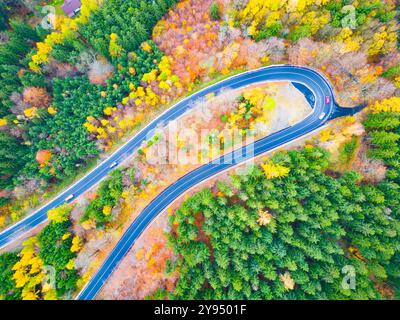 Eine gewundene Straße schlängelt sich durch einen lebhaften Herbstwald mit Bäumen, die ein Kaleidoskop aus warmen Farben zeigen. Die friedliche Herbstkulisse lädt zu Entdeckungen und Abenteuern in der Natur ein. Stockfoto