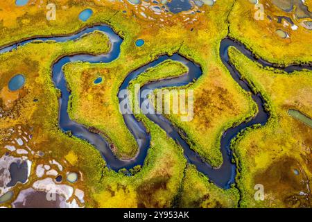 Ein Blick aus der Vogelperspektive fängt den gewundenen Pfad eines Flusses ein, der sich durch üppig grüne Sumpfgebiete schlängelt. Helle Vegetationsflächen und verstreute Wasserbecken Crea Stockfoto