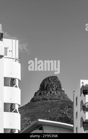 Löwen besteigen den Gipfel am Tafelberg, der zwischen zwei Hochhäusern von Appartements blickt Stockfoto