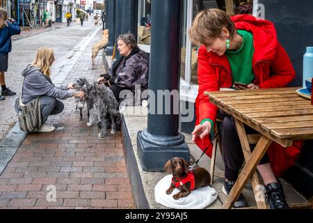 Einheimische mit ihren Haustieren sitzen vor Einem Café in der High Street, Lewes, East Sussex, Großbritannien. Stockfoto