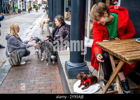 Einheimische mit ihren Haustieren sitzen vor Einem Café in der High Street, Lewes, East Sussex, Großbritannien. Stockfoto